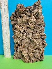 CORK BARK FLATS BASKING
