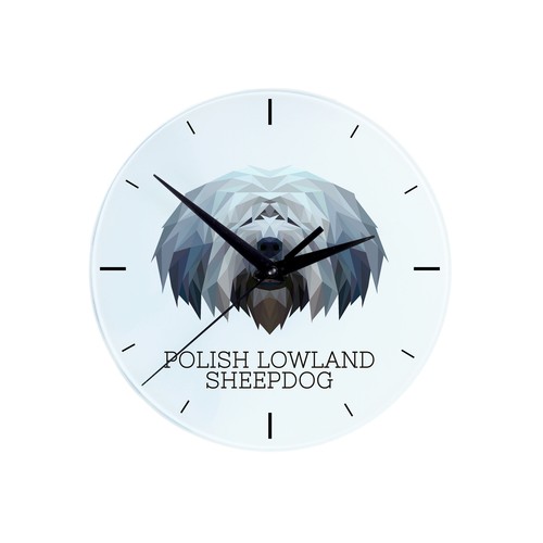 Polish lowland sheepdog - polish,
