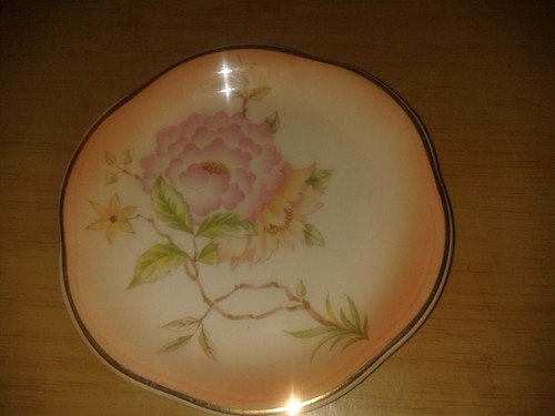 Vintage palissy royal - palissy,