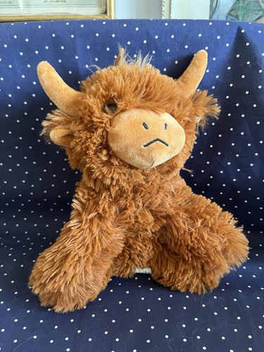 Brown shaggy scottish highland - scottish,