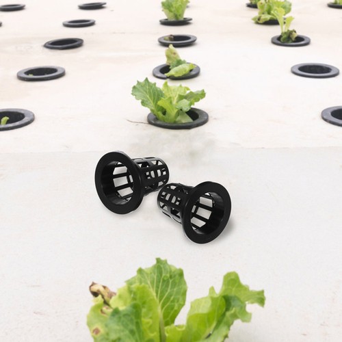 Pcs garden pond plants - 50,