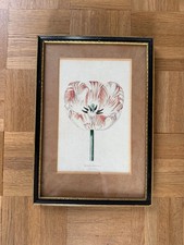 Framed vintage antique 19th