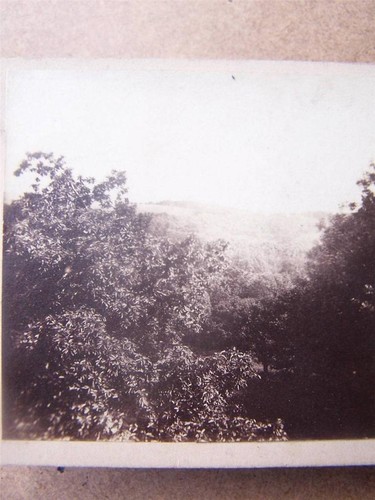 Stereoscopic stereo view - stereoscopic, stereo-view
