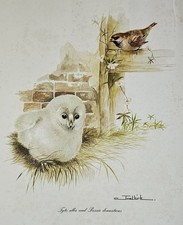 Joel Kirk ‘Barn Owl & House