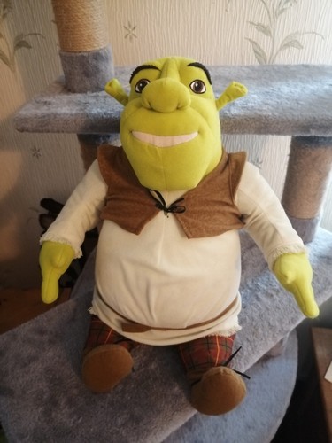 Wise cracking shrek - shrek,,