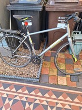 pinnacle bike 50 cm