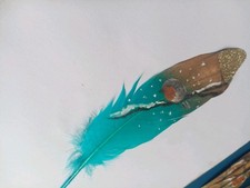 Robin On Feather Painting Wall