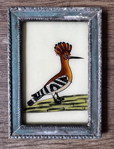 Indian hoopoe vintage reverse - hoopoe,