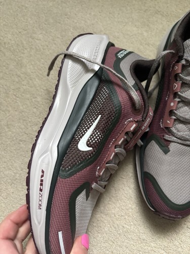 Nike pegasus goretex - pegasus,