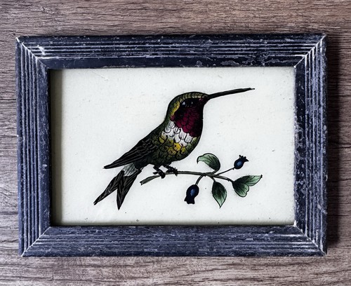 Indian hummingbird vintage - hummingbird,