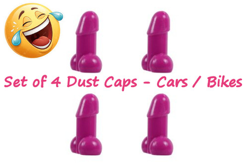 Novelty joke funny penis willy