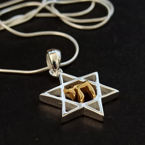 Star david chai - david, necklace