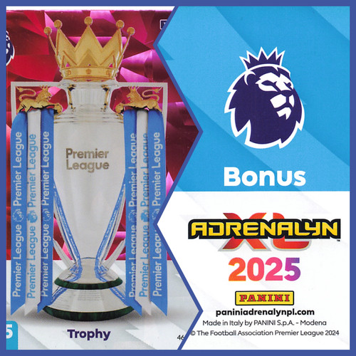 Special cards panini - special,