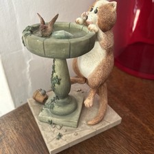 Comic & Curious Cats Bathing