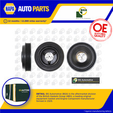 Crankshaft Pulley (TVD) fits