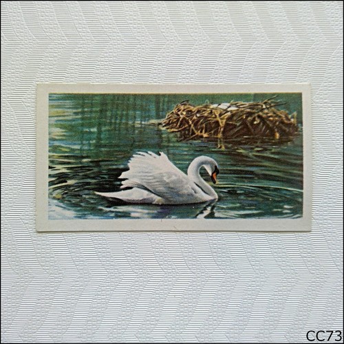 Brooke bond british birds - bond,