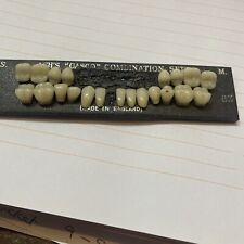 Ash’s Gasco Combination Set False Teeth 