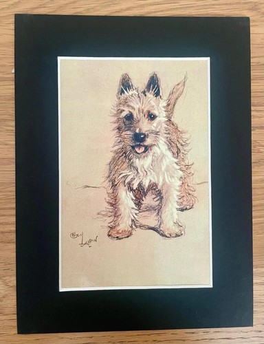 Westie dog print cecil - westie,