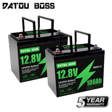 2PC 12V100Ah LiFePo4 Lithium Battery Rechargeable BMS Solar Marine RV Motorhome