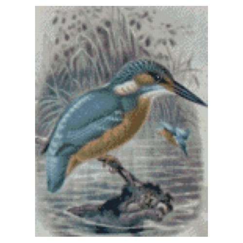 Kingfisher complete counted - kingfisher,