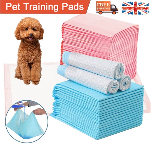60cm dog puppy - 60, pet