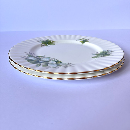 Royal albert trillium salad - trillium,