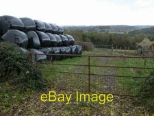 Silage bales above Pontrilas