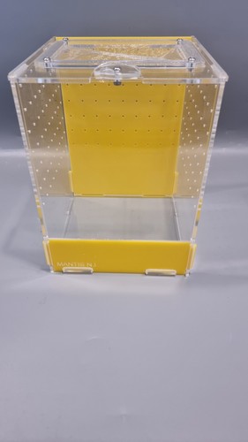 Yellow mantis medium - yellow, n.i
