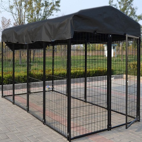 Oversized large dog - oversized,