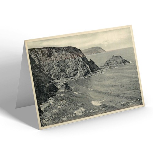 Notelet vintage wales cat - wales,