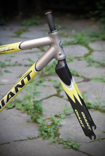 Giant tcr team once - giant, frame