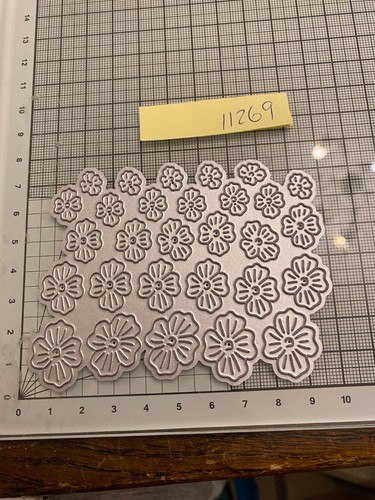 Tattered lace miniature - miniature, swift