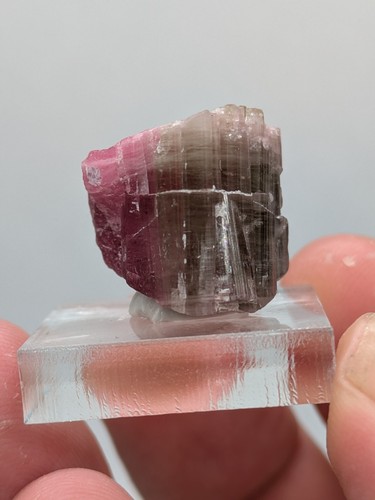 Watermelon tourmaline crystal - tourmaline,