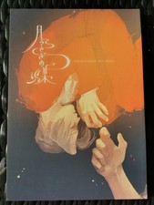 Gyakuten Saiban (Ace Attorney)