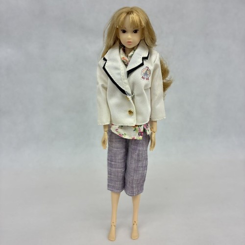 Pet works momoko doll no - works,