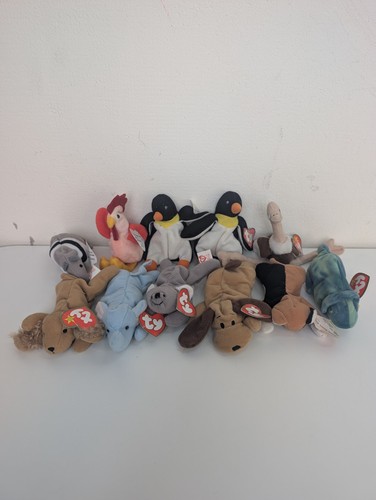 Teenie beanie babies x11 - beanie,
