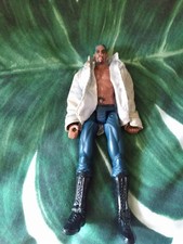 Dennis Rodman Pro-Wrestling