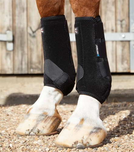 Premier equine air tech - premier, air-tech