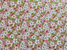 Liberty Fabric Paysanne