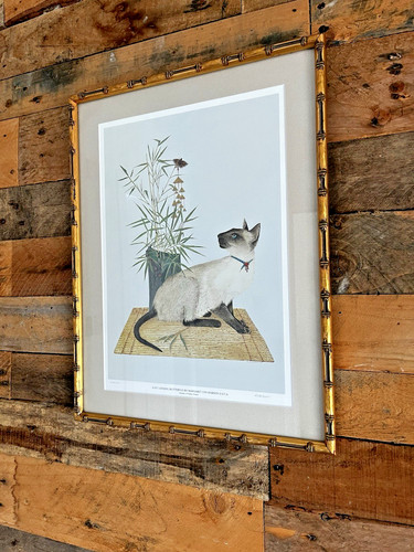 Vintage signed limited - limited, edition