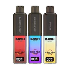 Bash Vape Echo Pro 10K Big
