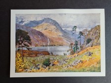 Antique 1908 print - Head of