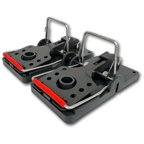 Roshield rat traps - rat,