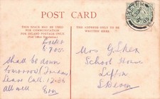 FAMILY HISTORY - GENEALOGY