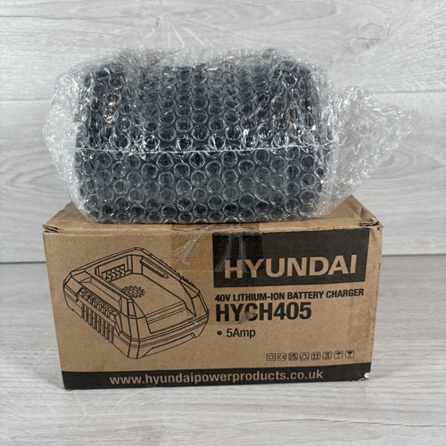 Hyundai 40v fast charger - 40v,