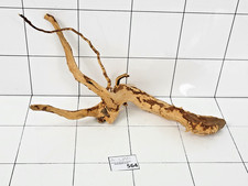Premium Natural Aquarium Red