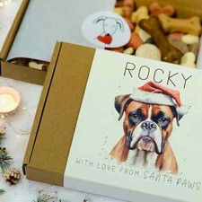 Boxer dog xmas - present,