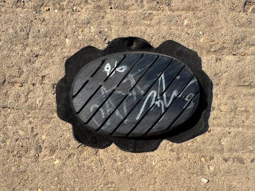 Ayrton badovini signed - signed, knee