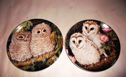 Wedgwood the baby owls - 2,