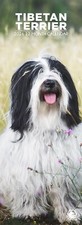 Tibetan Terrier Dog 2026 Slim
